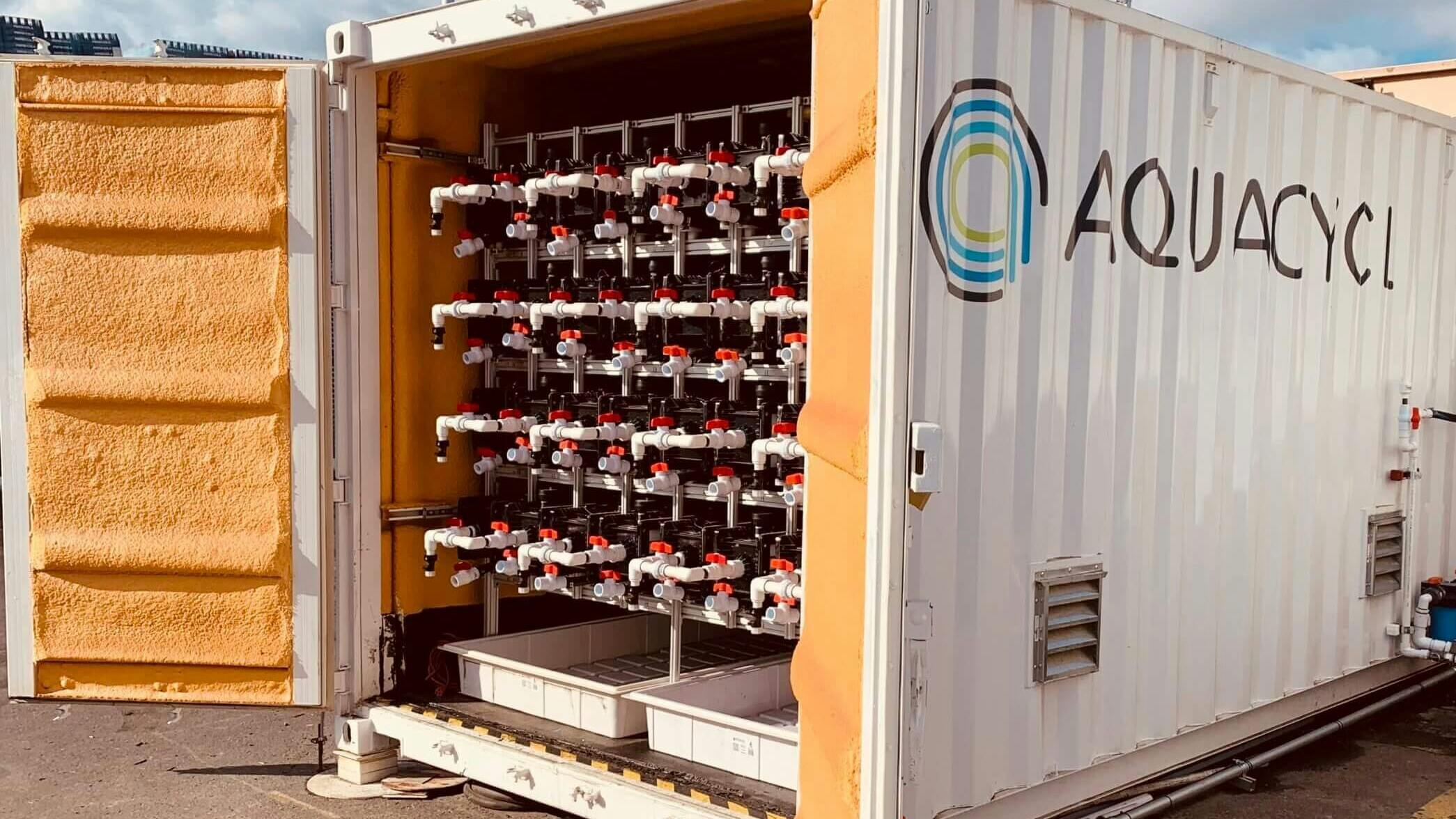 68c83590cb46f75d9e290e85 Systeminstalledopenback3scalede1728585578610