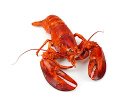 690a2034943855e306d92ff4 Dreamstime L 35188088 690a2034943855e306d92ff4 Dreamstime L 35188088