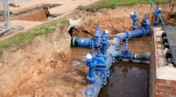 affinity_image_3122026 affinity_image_3122026