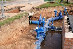 69b317da28f0ff4ce18310c4 Affinity Image 3122026 69b317da28f0ff4ce18310c4 Affinity Image 3122026