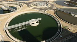 chili_image_4272026 chili_image_4272026