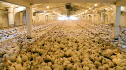 Farmer Focus faces wastewater violation allegations following whistleblower complaint