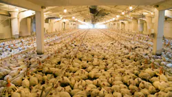 Farmer Focus faces wastewater violation allegations following whistleblower complaint Farmer Focus faces wastewater violation allegations following whistleblower complaint