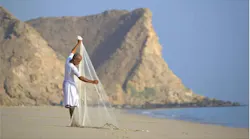 suez_image_6292026