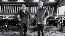 Richard Greaves, farm manager, and Adrian Fenton, managing director, for Yeo Valley Farms Ltd. stand in front of their dairy cows in England.