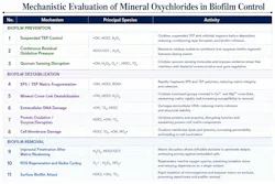 Figure 4: Mechanistic evaluation of oxidative processes in biofilm control